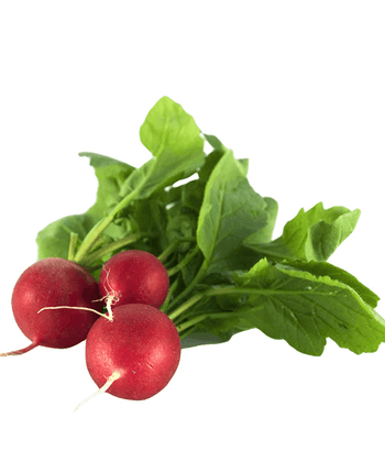 Spicy jalapeno ad short