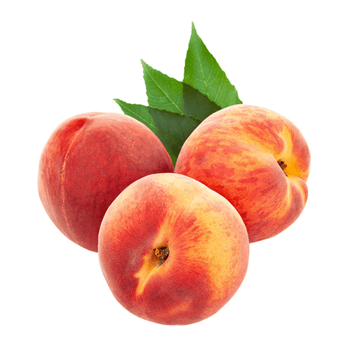 Phasellus nec sem in justo