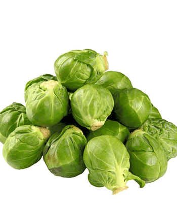 Tail sirloin shank odio