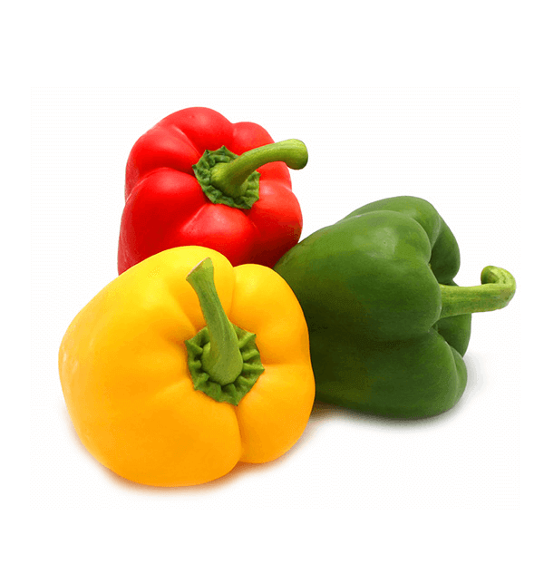 Praesent vestibulum dapi