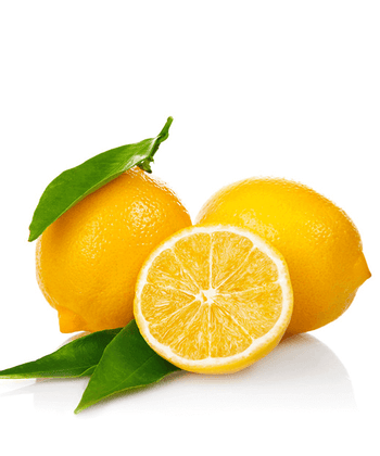 Sausage boudin filet